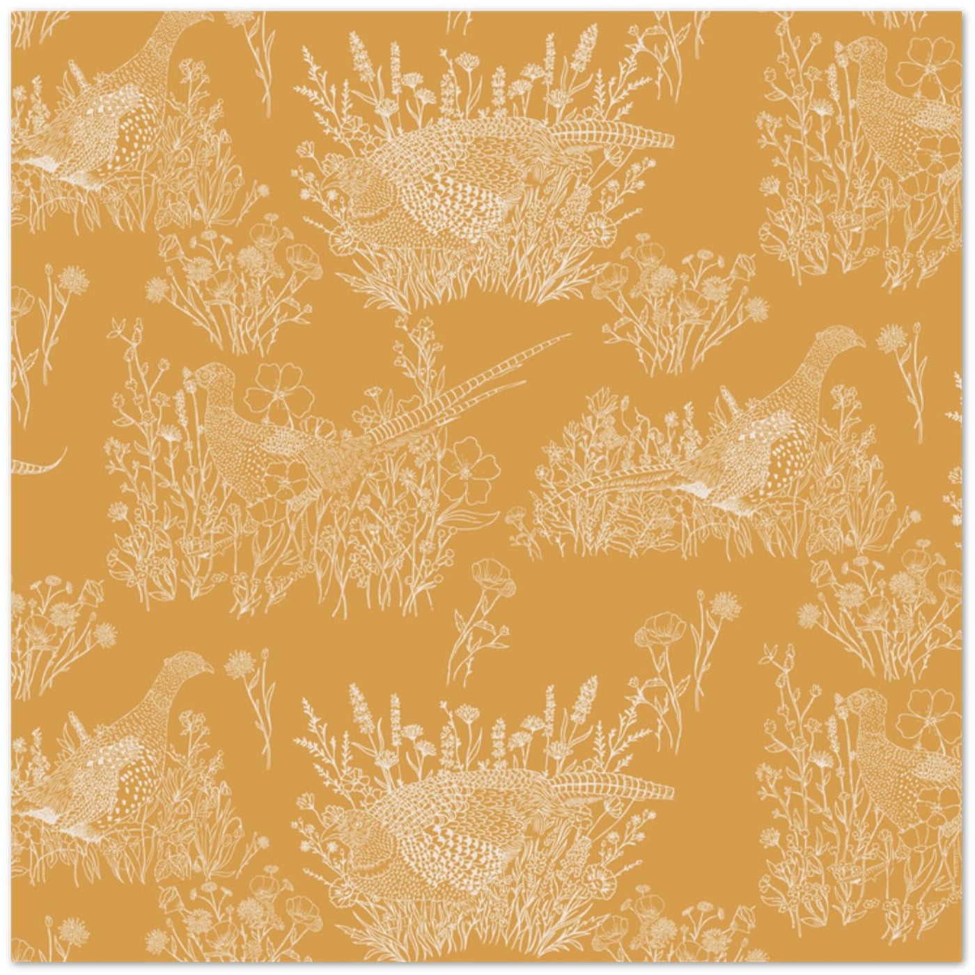 Pheasants & Wildflowers - Pack of 10 Greeting Cards