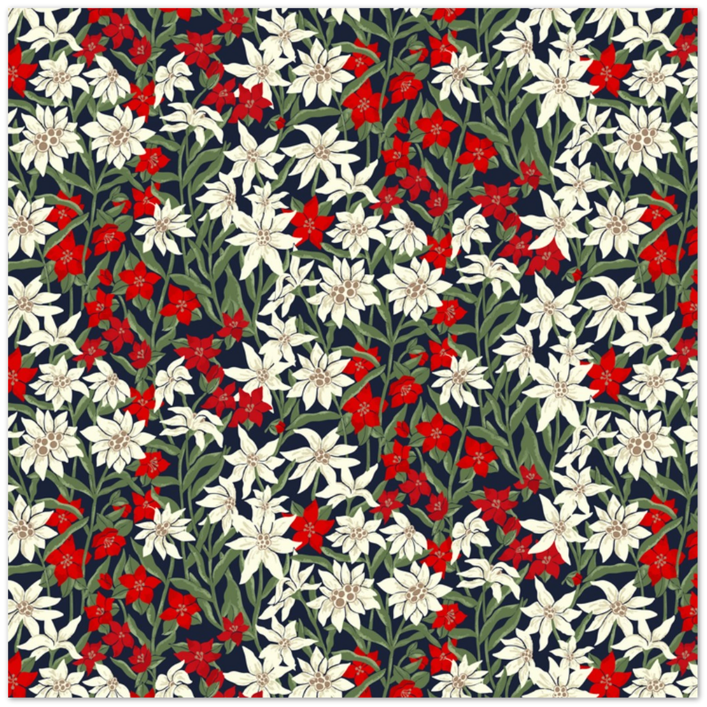 Edelweiss & Hellebore - Pack of 10 Greeting Cards
